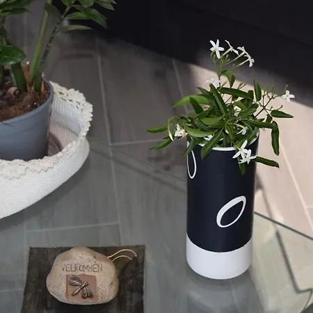 Moon - Con Bagno Privato Tatil Evi
