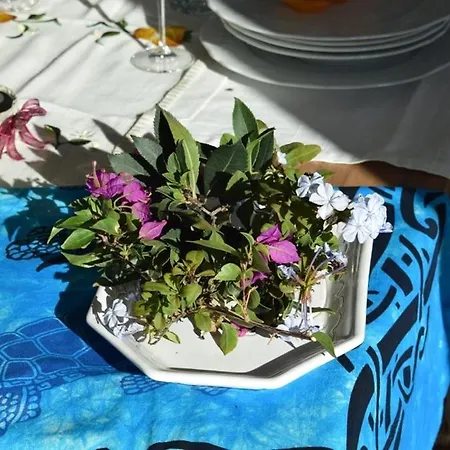 Casa de Férias Moon -