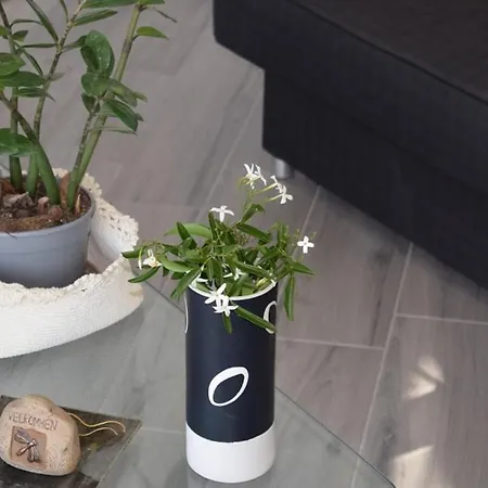 Casa de Férias Moon -